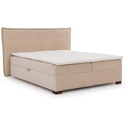 BOXBETT Lovetti II, Cord, H3