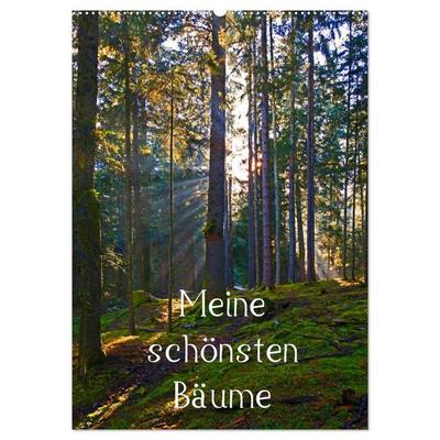 Meine schönsten Bäume (Wandkalender 2026 DIN A2 hoch), CALVENDO Monatskalender