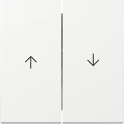 Gira 329403 Wippe 2f Pfeil System 55 Reinweiß