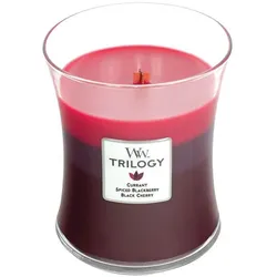 Sun Ripened Berries 275g