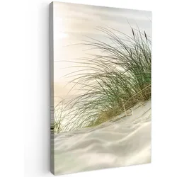 LEINWANDBILD Dünen mit Strandhafer in der Sonne des Nationalparks Schleswig-Holsteinisches Wattenmeer Wanddeko 40x60 cm
