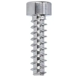 TITANSCHRAUBE Bremsgriffklemmung für Magura MT Serie | silber