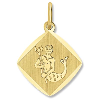 Sternzeichenanhänger ONE ELEMENT "Sternzeichen Anhänger aus 333 Gelbgold", gold, Schmuckanhänger, Damen, Wassermann, Steinbock, Gelbgold 333 Gold, Gelbgold 333, Gold