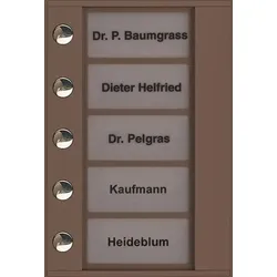 TCS Tür Control Audioaußenstation 1-reihig PDT05-EB/04