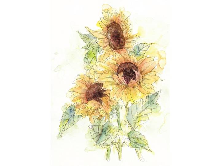 VLIESTAPETE GIRASOL
