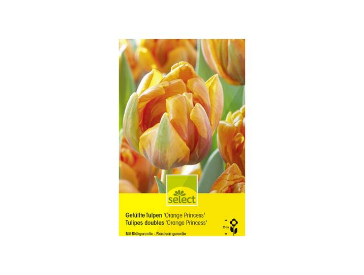 Select Blumenzwiebel Gefüllte Tulpen Orange Princess ''