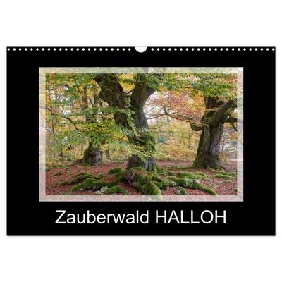 Zauberwald HALLOH (Wandkalender 2026 DIN A3 quer), CALVENDO Monatskalender