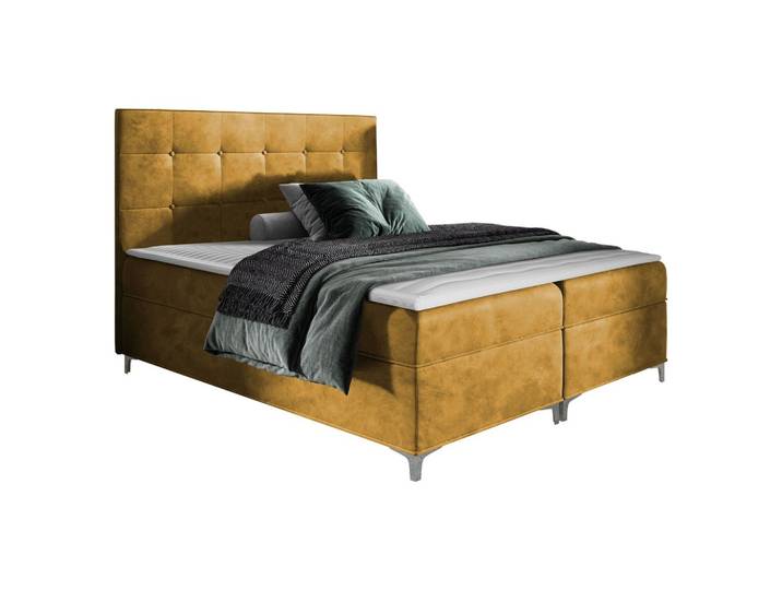 BOXBETT Snake - H3