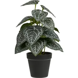 House Nordic, Kunstpflanzen, Kunstpflanze 33 cm, Produkttyp: Topfpflanze, Detailfarbe (33 cm)