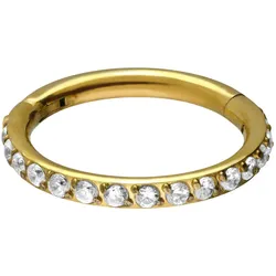 Titan Segmentring Clicker EINGEFASSTE KRISTALLE