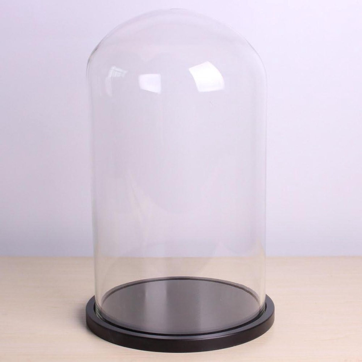 Glazen Cloche Display Dome Handgeblazen Glas Transparant 20x35 cm