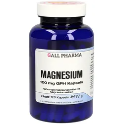 MAGNESIUM 100 mg GPH Kapseln 120 St