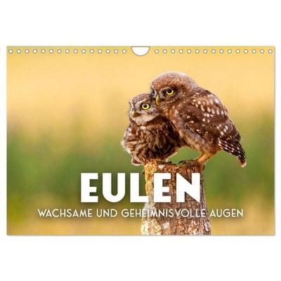 Eulen - Wachsame und geheimnisvolle Augen (Wandkalender 2027 DIN A4 quer), CALVENDO Monatskalender