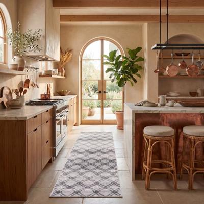 SAFAVIEH Adirondack Leila Vintage Boho Oriental Rug