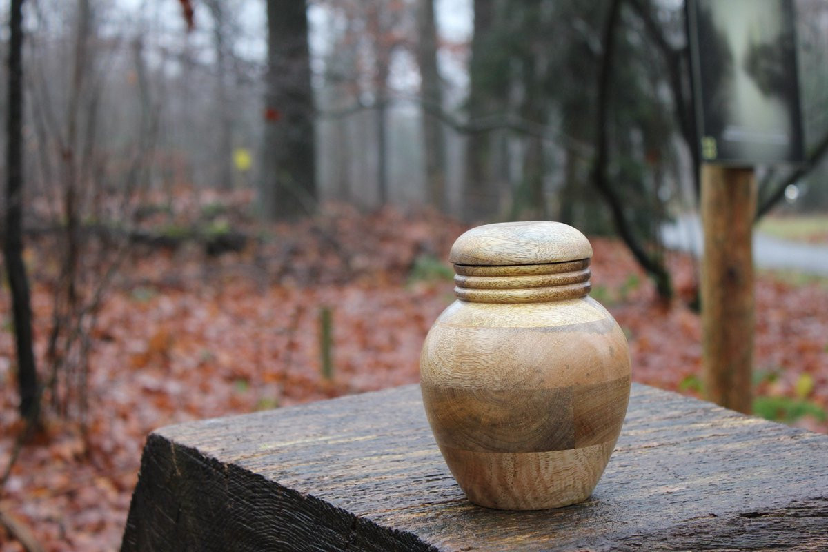 Mangohouten urn de Slufter-2 voor volwassenen