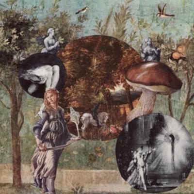 Old Kind Of Magic - Native Harrow, Vinyl