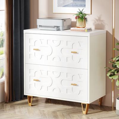 YUZHOU Modern 2-Drawer Lateral File Cabinet, White Office Filing Cabinet for Legal/Letter/A4 Size