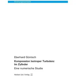 Kompression isotroper Turbulenz im Zylinder, Fachbücher von Eberhard Güntsch