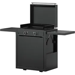 Plancha-Set mit Planchawagen 60 Elektro
