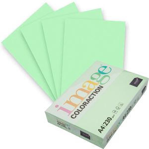 Antalis Kopierpapier Image Coloraction Jungle, A4, 230g/qm, hellgrün, 125 Blatt