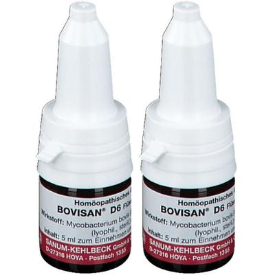 Bovisan D 6 Tropfen 2x 2x5 ml