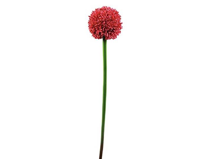 EUROPALMS Alliumtak, kunstig, rood, 55 cm, enkele preikbloesem