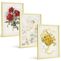 BILDER SET 3er Set - 40x60 cm Goldrahmen - Rosen rot-weiße Form