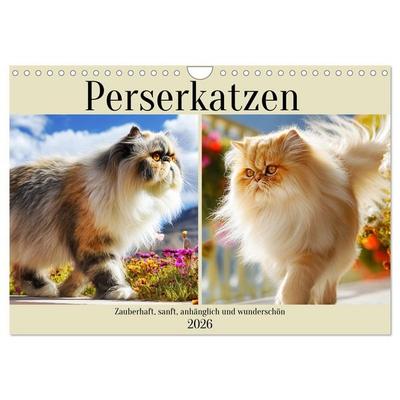 Perserkatzen. Zauberhaft, sanft, anhänglich und wunderschön (Wandkalender 2026 DIN A4 quer), CALVENDO Monatskalender