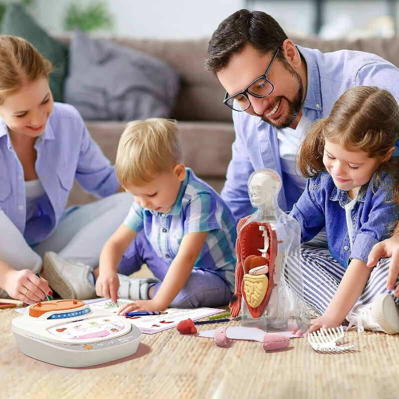 Science Can Pratend Menselijk Anatomie-model STEM-speelgoedset, 30 cm
