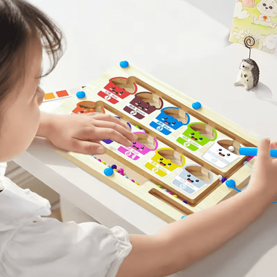 Montessori Magnetic Maze Board For Color Sorting & Fine Motor Skills Montessori Magnetic Maze Board For Color Sorting & Fine Motor Skills