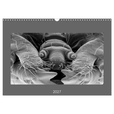 Erlebnis Mikrokosmos (Wandkalender 2027 DIN A3 quer), CALVENDO Monatskalender