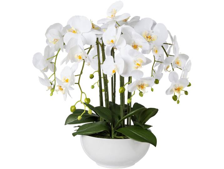 Kunstpflanze CREATIV GREEN, weiß, H:54cm, Kunststoff, Kunstpflanzen, Kunstpflanze