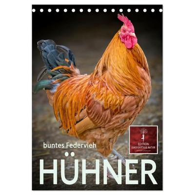 Hühner - buntes Federvieh (Tischkalender 2026 DIN A5 hoch), CALVENDO Monatskalender
