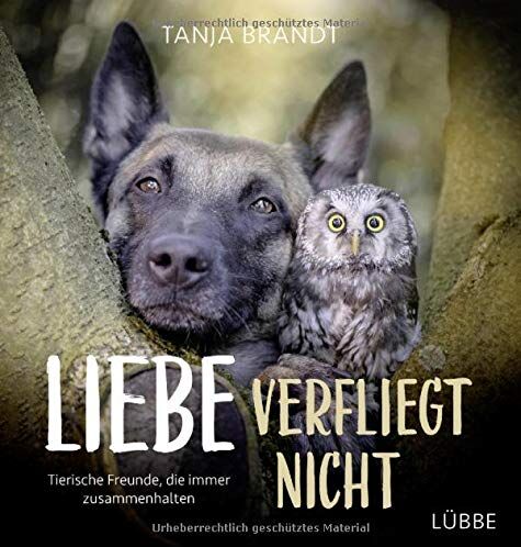 Tanja Brandt - Liebe verfliegt nicht: Tierische Freunde, die immer zusammenhalten - Preis vom 11.10.2026 15:43:13 h