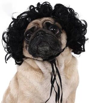 Uplift Treasures Funny Pet Wig Costume Accessory b large