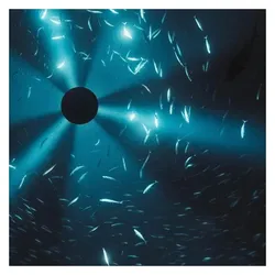 Indigo Press, Schallplatten, Midnight Zone (Laurel Halo)