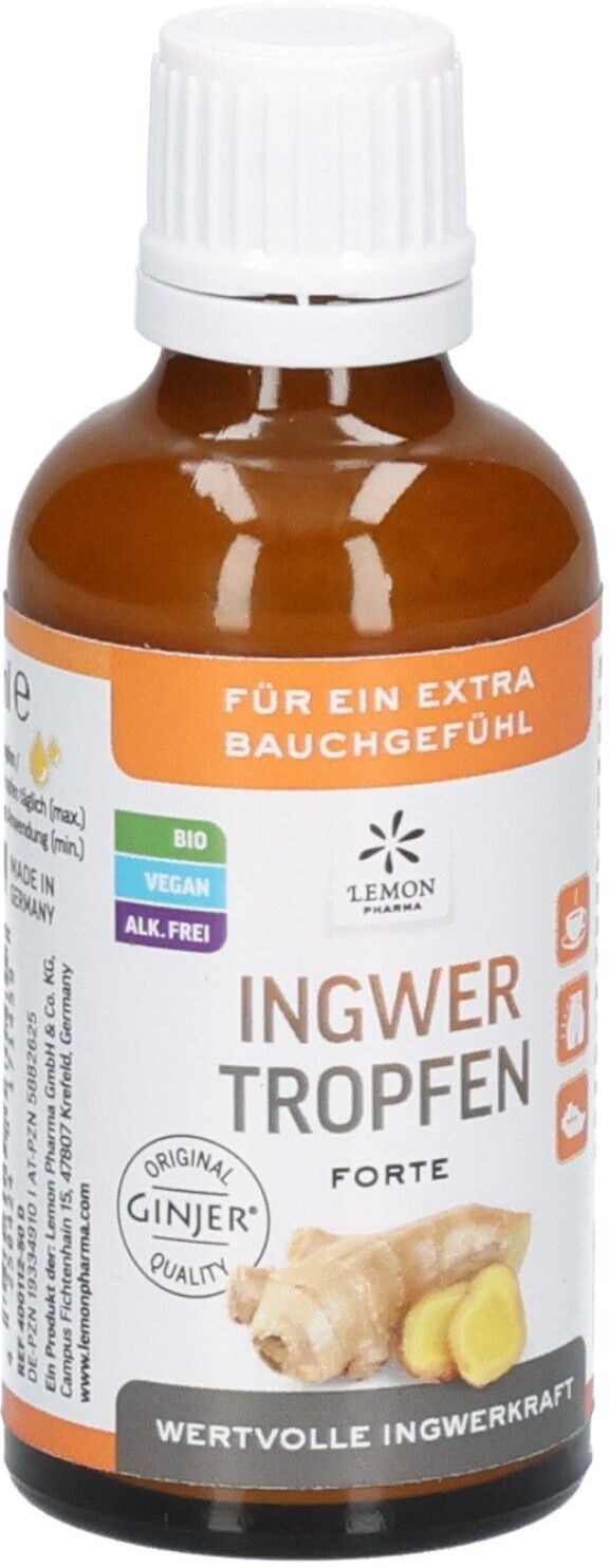 No Brand Ingwer Ginjer forte Tropfen 50 ml