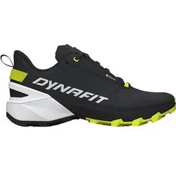 DYNAFIT Dynafit Herren Laufschuh TRANSALPER 2 GTX, Größe UK 10 in Silber 0958