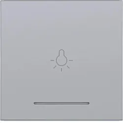 Hager WI 1f Aufdr. Licht Ax/Cx titan met lack