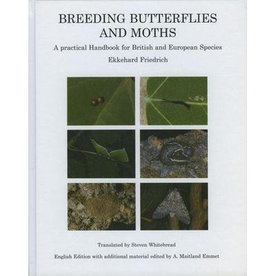 Breeding Butterflies and Moths, Gebundene Ausgabe von Ekkehard Friedrich, Brill, 978-0-946589-20-3