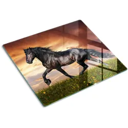 GLASPLATTE 60x52 cm Pferd