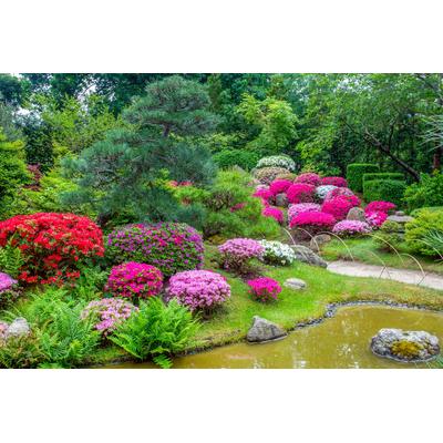 Fototapete PAPERMOON "GARTEN-BLUMEN BÄUME PFLANZEN STEINE WALD PARK BLÜTEN", bunt, B:3m L:2,23m, Vlies, Tapeten