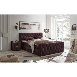 Boxspringbett Cashfield 8 ca. 180x200 cm Aubergine