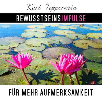 Bewusstseinsimpulse für mehr Aufmerksamkeit - Kurt Tepperwein, Audio, 4250701997451