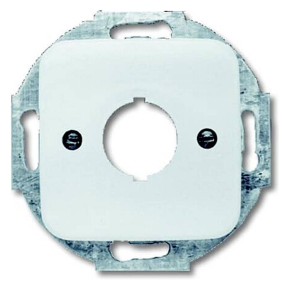 Busch-Jaeger Zentralscheibe (2CKA001724A1168)