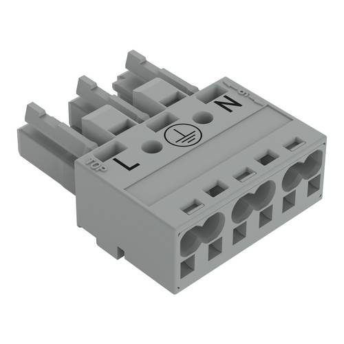 WAGO 770-243/060-000 Steckverbinder 100St.