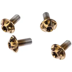 Silca Schraube M5 x 12 mm gold