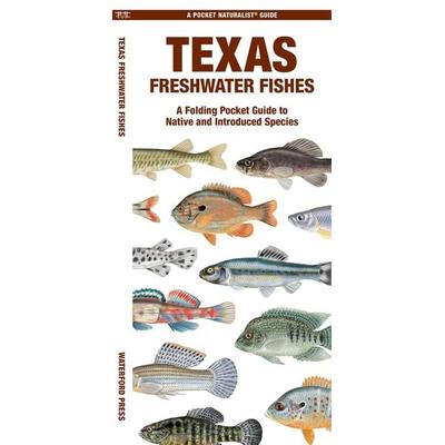 Texas Freshwater Fishes, Geheftet von Matthew Morris,Waterford Press, Globe Pequot Publishing Group Inc, 978-1-62005-558-8