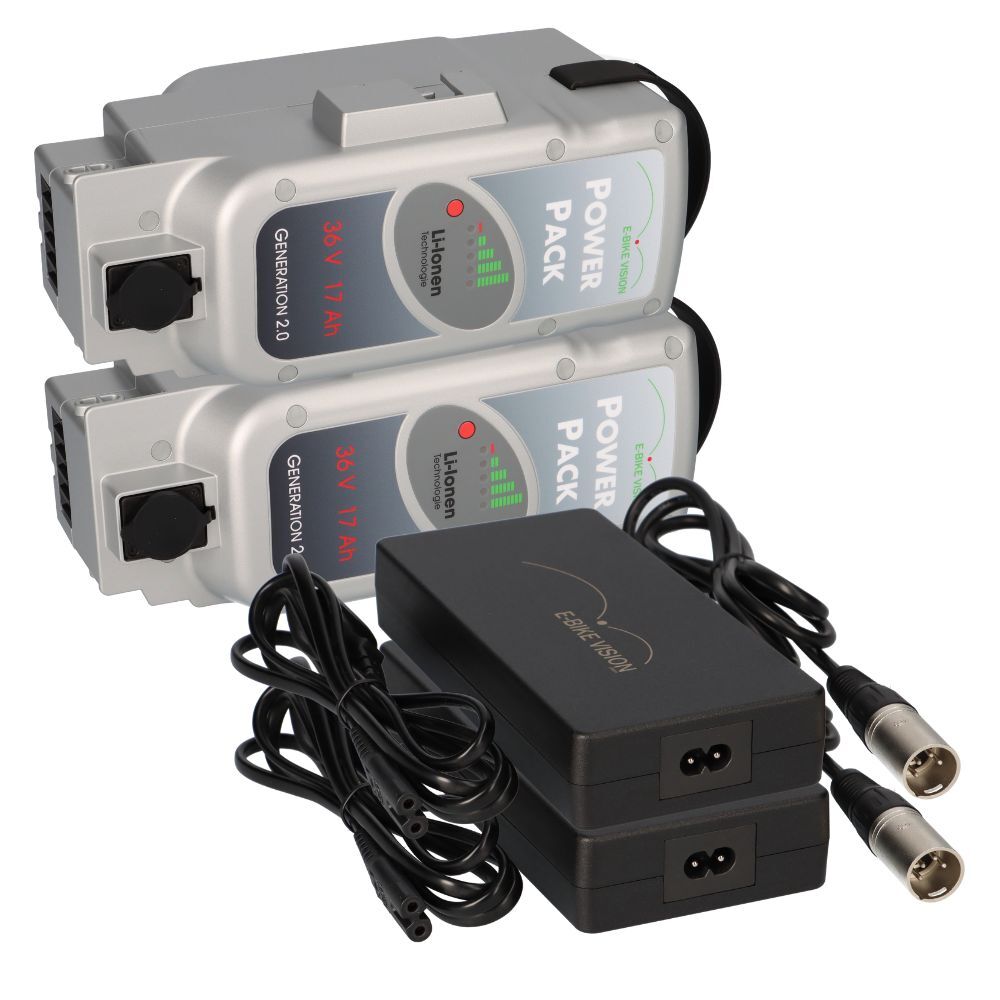 2x E-Bike Vision PowerPack Panasonic 36V 17Ah 612Wh + 2x 4A Ladegerät