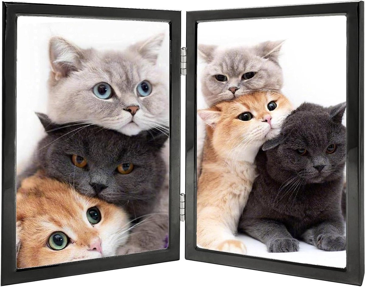 Dubbele Fotolijst Vouwframe Metaal Zwart 4x6 inch